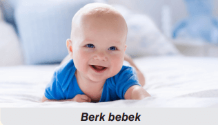 berk bebek