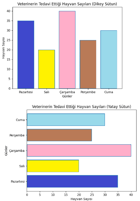 yatay ve dikey sütun grafiği 2