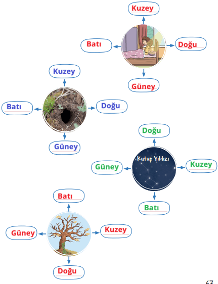 2. Sınıf Hayat Bilgisi Ders Kitabı Sayfa 67 Cevapları