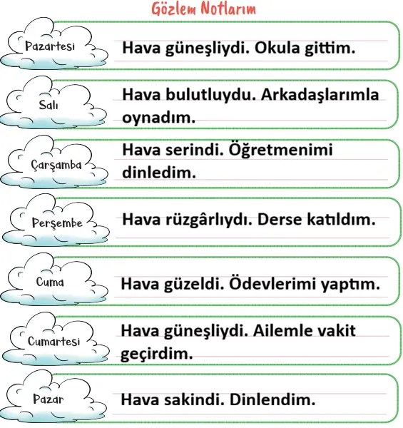 2. Sınıf Hayat Bilgisi Ders Kitabı Sayfa 56 Cevapları