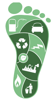 2. Sınıf Hayat Bilgisi Ders Kitabı Sayfa 76-77-80-81-82-83. Cevapları 2. Kitap