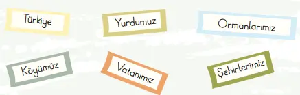 2. Sınıf Türkçe Ders Kitabı Sayfa 109-110-112-113-114 Cevapları 2. Kitap
