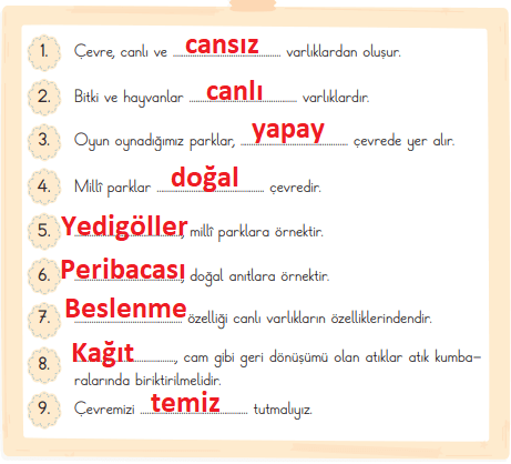 3. Sınıf Fen Bilimleri Ders Kitabı Sayfa 207 Cevapları 3. Sınıf Fen Bilimleri Ders Kitabı Sayfa 207 Cevapları