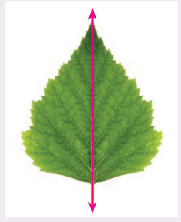 4. Sınıf Matematik Ders Kitabı Sayfa 216. Cevapları