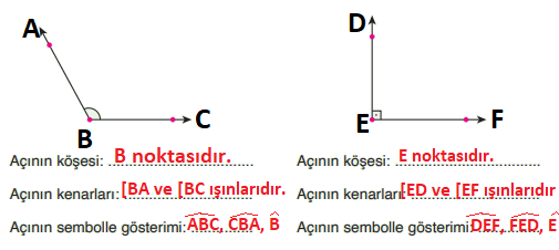 4. Sınıf Matematik Ders Kitabı Sayfa 206. Cevapları