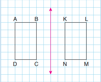 4. Sınıf Matematik Ders Kitabı Sayfa 219-221. Cevapları Fersa Yayınları