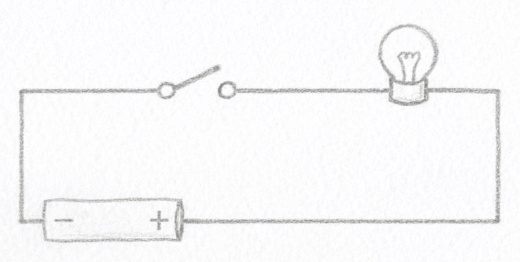 6. Sınıf Fen Bilimleri Ders Kitabı Sayfa 66 Cevapları