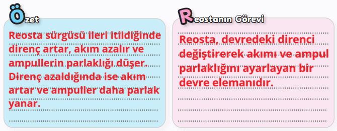 6. Sınıf Fen Bilimleri Ders Kitabı Sayfa 87 Cevapları