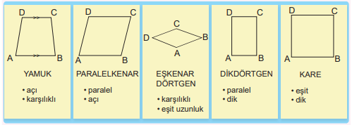 6. Sınıf Matematik Ders Kitabı Sayfa 33-34-35-36-37-38. Cevapları 2. Kitap