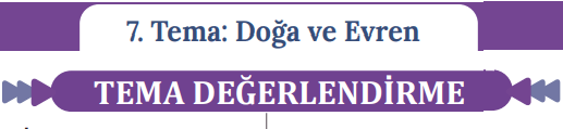 7. Tema Değerlendirme 7. Tema Değerlendirme