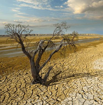 8. Sınıf Fen Bilimleri Ders Kitabı Sayfa 208-212-213-214-216-218-219. Cevapları MEB Yayınları