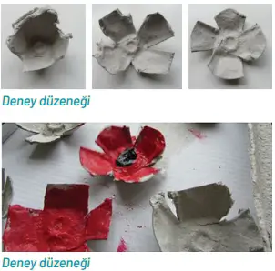 8. Sınıf Fen Bilimleri Ders Kitabı Sayfa 261-262-263 Cevapları