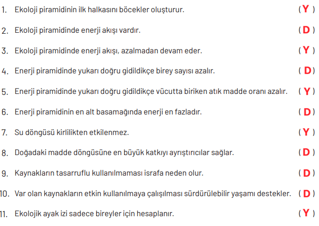 8. Sınıf Fen Bilimleri Ders Kitabı Sayfa 264. Cevapları