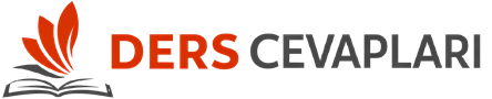 Sınıf Ders Kitabı Cevapları