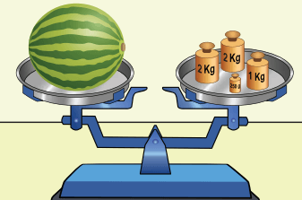 4. Sınıf Matematik Ders Kitabı Sayfa 283. Cevapları 4. Sınıf Matematik Ders Kitabı Sayfa 283. Cevapları