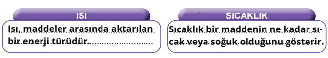 5. Sınıf Fen Bilimleri Ders Kitabı Sayfa 52 Cevapları