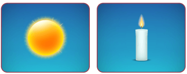 5. Sınıf Fen Bilimleri Ders Kitabı Sayfa 14 Cevapları