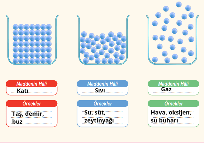 6. Sınıf Fen Bilimleri Ders Kitabı Sayfa 98 Cevapları 6. Sınıf Fen Bilimleri Ders Kitabı Sayfa 98 Cevapları