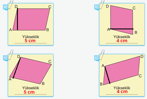 6. Sınıf Matematik Ders Kitabı Sayfa 117. Cevapları