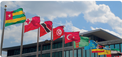 7. Sınıf Sosyal Bilgiler Ders Kitabı Sayfa 255 Cevapları