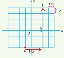 8. Sınıf Matematik Ders Kitabı Sayfa 341. Cevapları