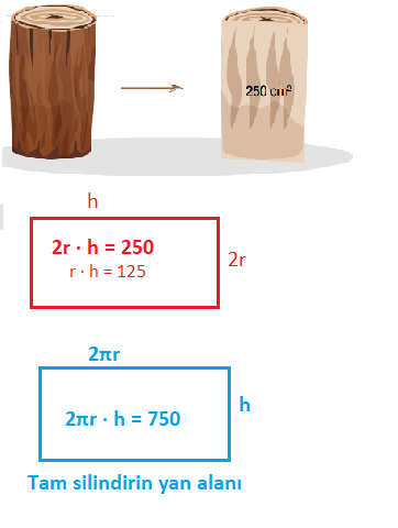 8. Sınıf Matematik Ders Kitabı Sayfa 342. Cevapları