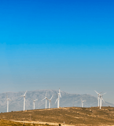 8. Sınıf Fen Bilimleri Ders Kitabı Sayfa 258-259-260. Cevapları MEB Yayınları