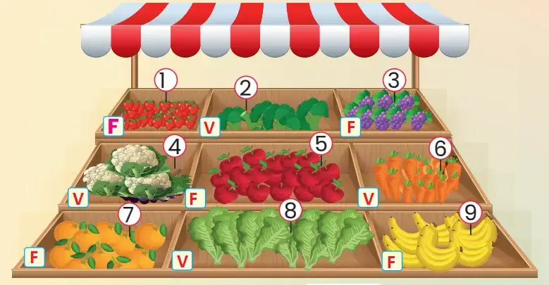2.Sınıf İngilizce Ders Kitabı Sayfa 92 Cevapları