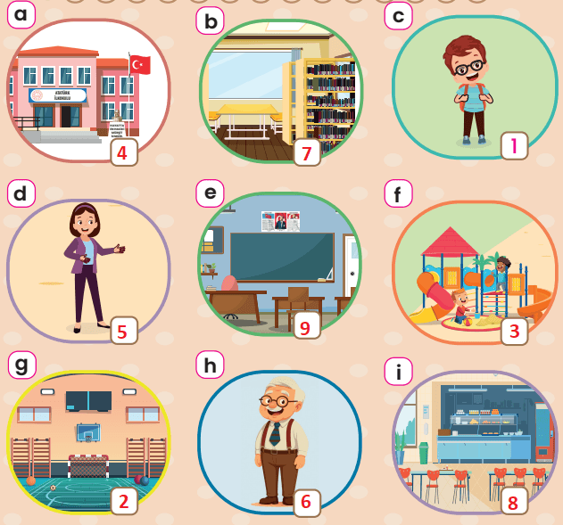 2. Sınıf İngilizce Ders Kitabı Sayfa 14 Cevapları