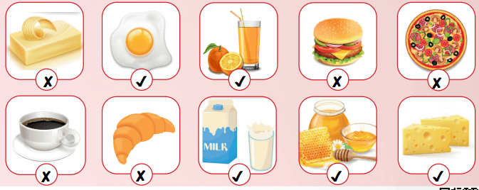6. Sınıf İngilizce Ders Kitabı Sayfa 30 Cevapları
