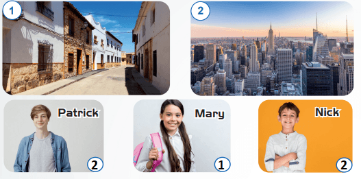 6. Sınıf İngilizce Ders Kitabı Sayfa 41 Cevapları