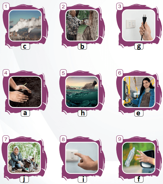 6. Sınıf İngilizce Ders Kitabı Sayfa 99 Cevapları