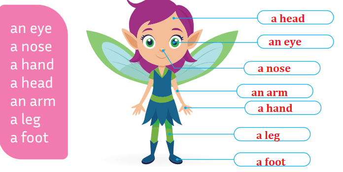5. Sınıf İngilizce Ders Kitabı Sayfa 60 Cevapları 5. Sınıf İngilizce Ders Kitabı Sayfa 60 Cevapları