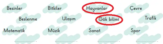 3. Sınıf Fen Bilimleri Ders Kitabı Sayfa 17 Cevapları 3. Sınıf Fen Bilimleri Ders Kitabı Sayfa 17 Cevapları