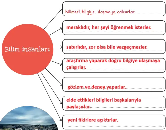3. Sınıf Fen Bilimleri Ders Kitabı Sayfa 28 Cevapları 3. Sınıf Fen Bilimleri Ders Kitabı Sayfa 28 Cevapları