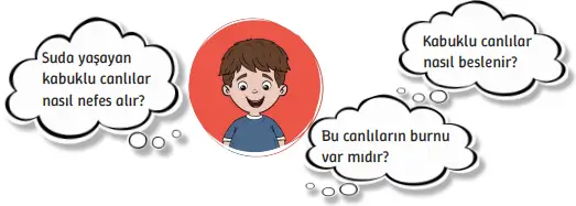 3. Sınıf Fen Bilimleri Ders Kitabı Sayfa 34 Cevapları 3. Sınıf Fen Bilimleri Ders Kitabı Sayfa 34 Cevapları