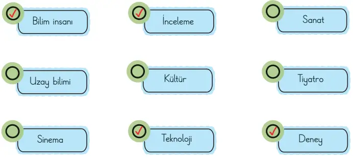 3. Sınıf Türkçe Ders Kitabı Sayfa 27-28-29-30-31-32 Cevapları 1. Kitap