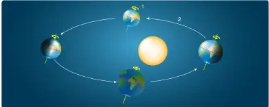 4. Sınıf Fen Bilimleri Ders Kitabı Sayfa 55 Cevapları