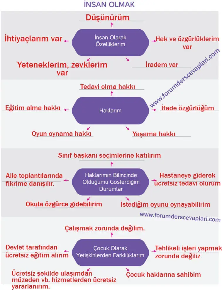 4. Sınıf İnsan Hakları Ders Kitabı Sayfa 21 Cevapları Hecce Yayıncılık 4. Sınıf İnsan Hakları Ders Kitabı Sayfa 21 Cevapları Hecce Yayıncılık