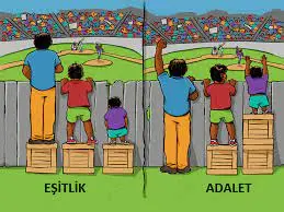 4. Sınıf İnsan Hakları Ders Kitabı Sayfa 49 Cevapları Hecce Yayıncılık