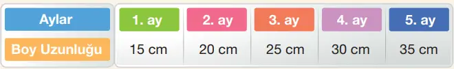 4. Sınıf Matematik Ders Kitabı Sayfa 33-34-35-36 Cevapları