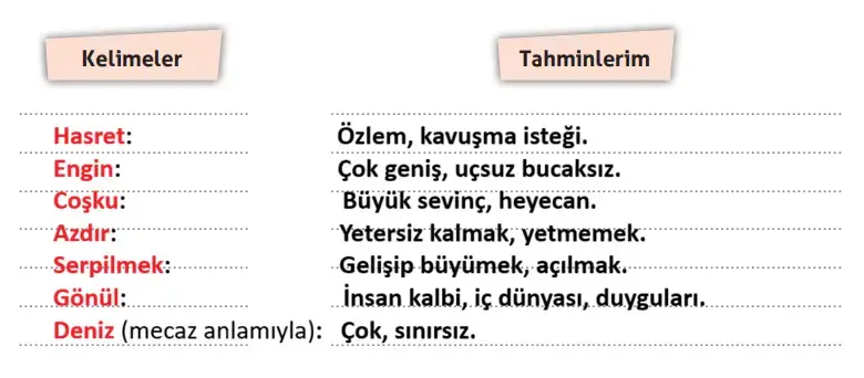 4. Sınıf Türkçe Ders Kitabı Sayfa 14 Cevapları