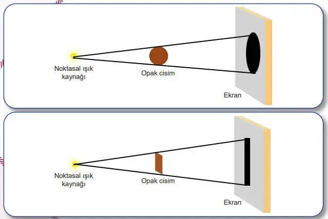 5. Sınıf Fen Bilimleri Ders Kitabı Sayfa 36 Cevapları MEB Yayınları 5. Sınıf Fen Bilimleri Ders Kitabı Sayfa 36 Cevapları MEB Yayınları