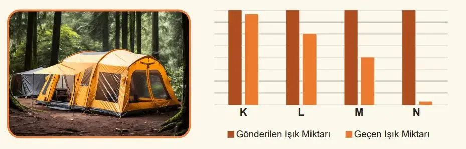 5. Sınıf Fen Bilimleri Ders Kitabı Sayfa 46 Cevapları MEB Yayınları 5. Sınıf Fen Bilimleri Ders Kitabı Sayfa 46 Cevapları MEB Yayınları