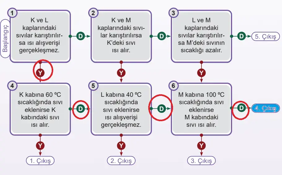 5. Sınıf Fen Bilimleri Ders Kitabı Sayfa 72 Cevapları MEB Yayınları