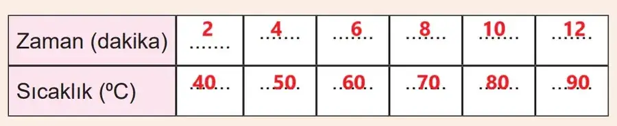 5. Sınıf Fen Bilimleri Ders Kitabı Sayfa 77 Cevapları MEB Yayınları 5. Sınıf Fen Bilimleri Ders Kitabı Sayfa 77 Cevapları MEB Yayınları