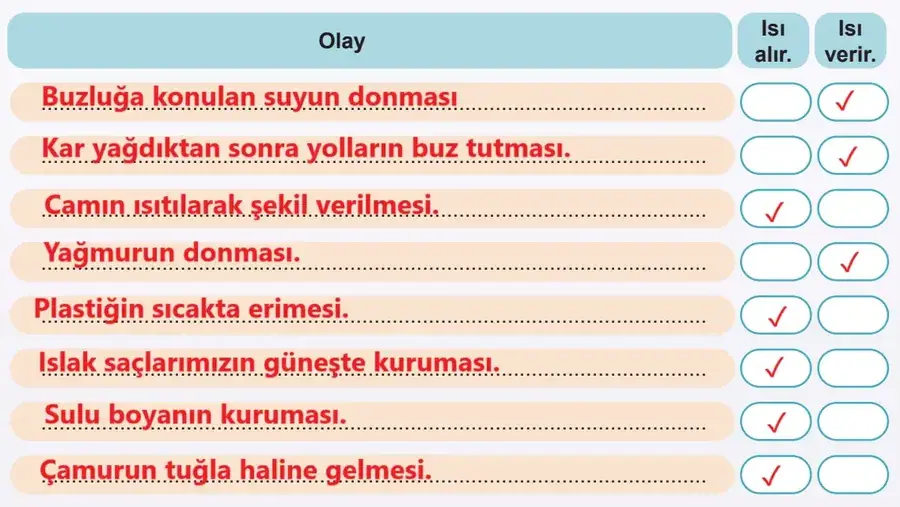5. Sınıf Fen Bilimleri Ders Kitabı Sayfa 79 Cevapları MEB Yayınları 5. Sınıf Fen Bilimleri Ders Kitabı Sayfa 79 Cevapları MEB Yayınları