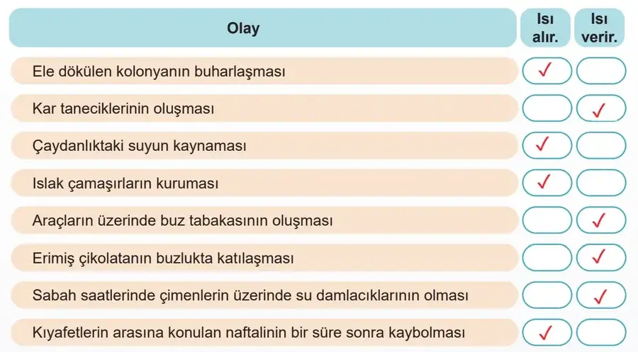 5. Sınıf Fen Bilimleri Ders Kitabı Sayfa 79 Cevapları MEB Yayınları 5. Sınıf Fen Bilimleri Ders Kitabı Sayfa 79 Cevapları MEB Yayınları