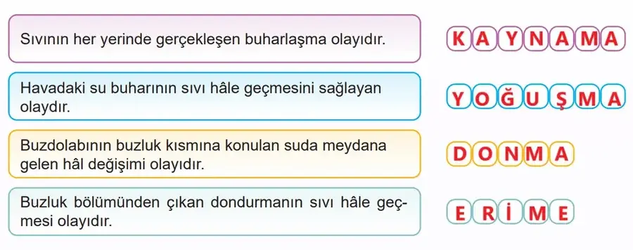 5. Sınıf Fen Bilimleri Ders Kitabı Sayfa 84 Cevapları MEB Yayınları 5. Sınıf Fen Bilimleri Ders Kitabı Sayfa 84 Cevapları MEB Yayınları