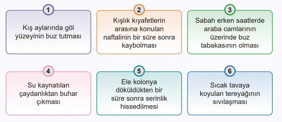5. Sınıf Fen Bilimleri Ders Kitabı Sayfa 84 Cevapları MEB Yayınları 5. Sınıf Fen Bilimleri Ders Kitabı Sayfa 84 Cevapları MEB Yayınları